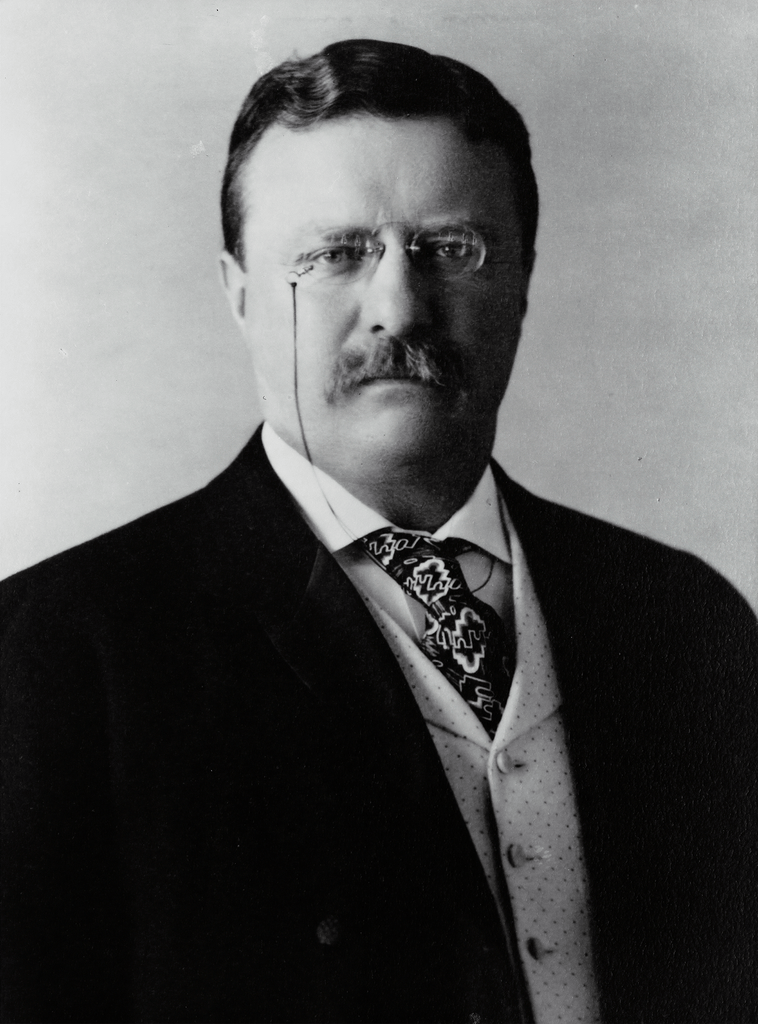On Chronic Pain and Teddy Roosevelt